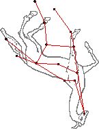 Mitología de Camelopardalis