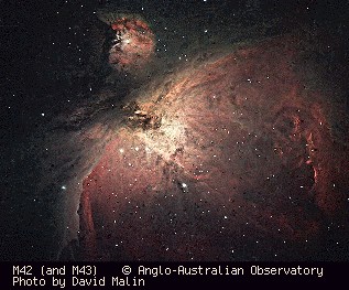 M42