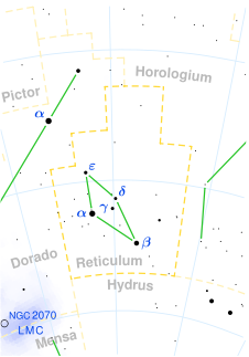 Reticulum